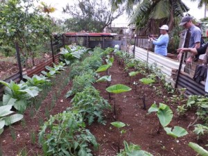 Food Production and Landcare Global Grant 